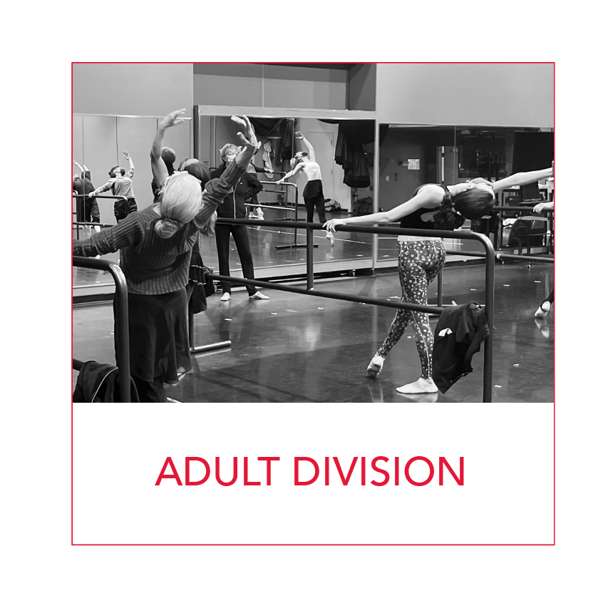 Click to select Adult classes