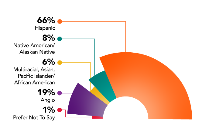 Demographics of NDI New Mexico Outreach Students NDI New Mexico Outreach Students Demographics